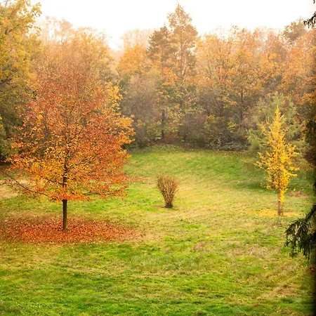 Hilton Frankfurt Hotel Gravenbruch