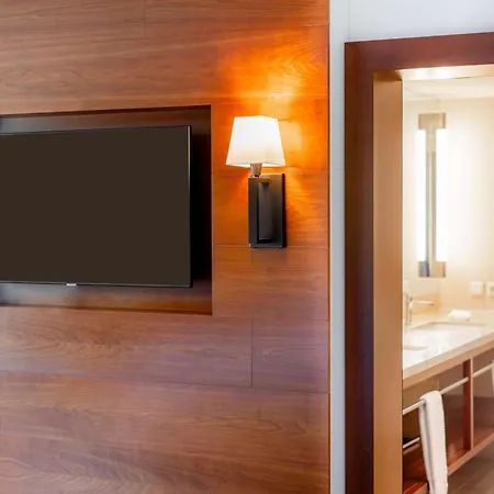 Hilton Frankfurt Hotell 4*