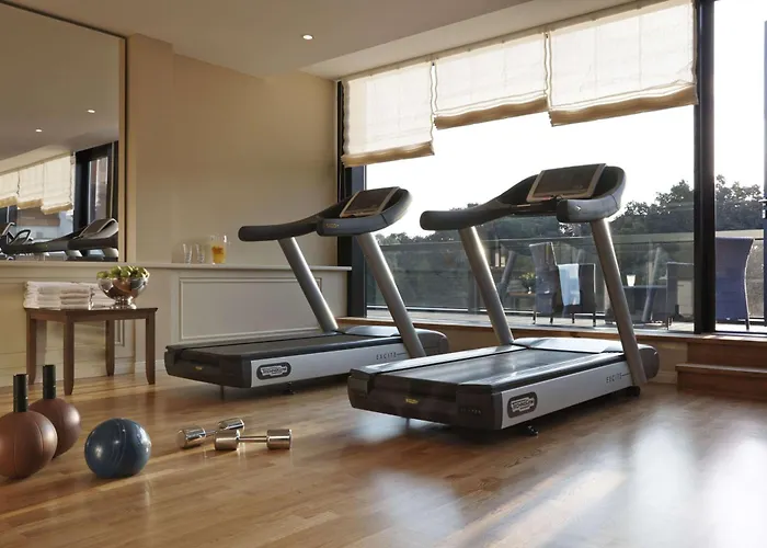 Hilton Frankfurt Gravenbruch Otel 4*