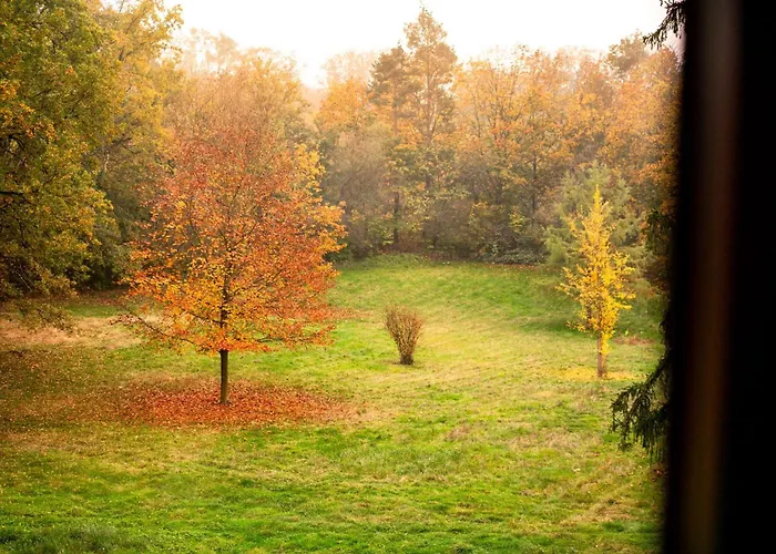 Hilton Frankfurt Gravenbruch Otel Neu-Isenburg