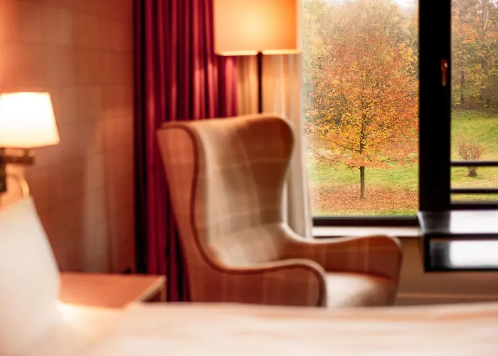 Otel Hilton Frankfurt Gravenbruch 4*